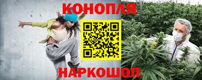 индика Мариинск