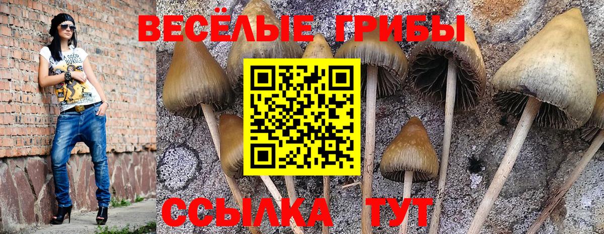 Галлюциногенные грибы мицелий  Вход с VPN  Унеча  Псилоцибиновые грибы MAGIC MUSHROOMS 